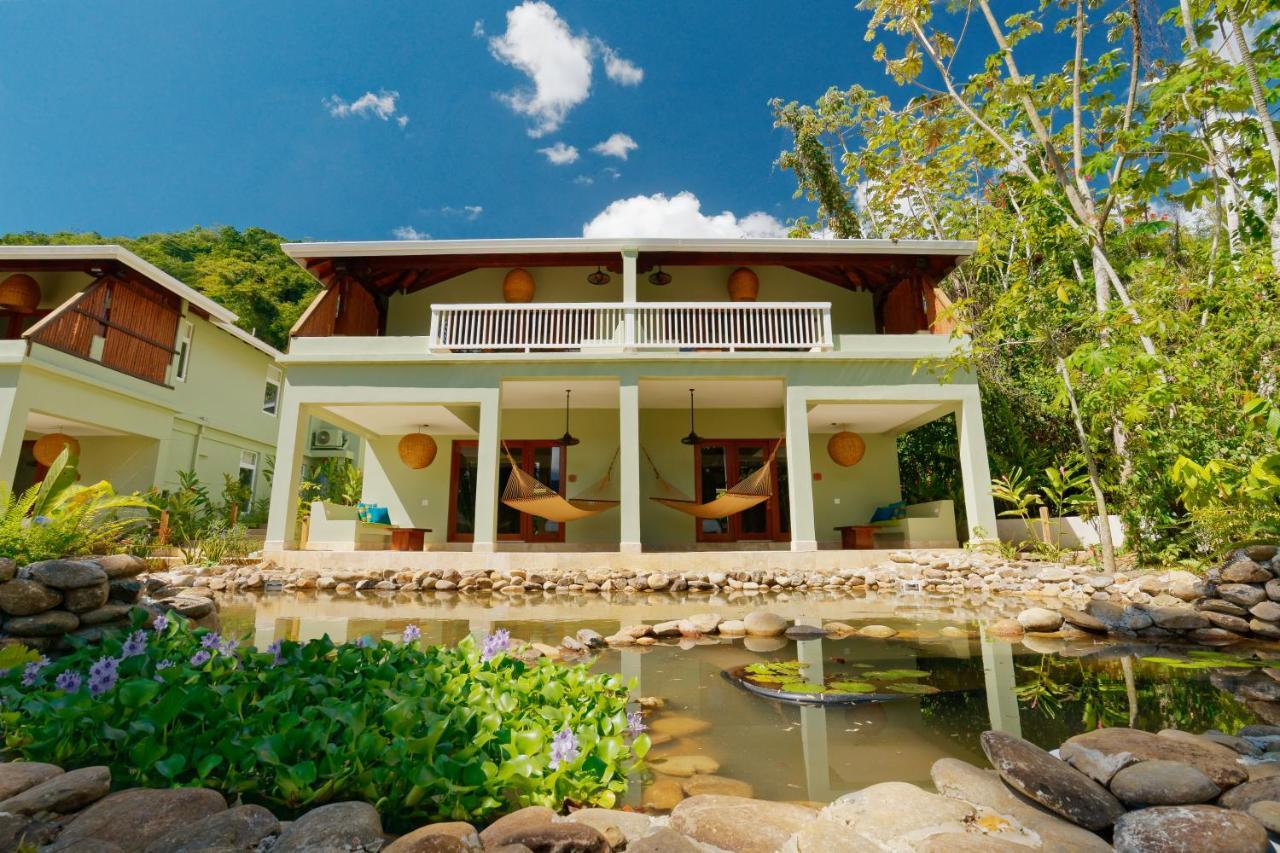 בלמופן Sleeping Giant Rainforest Lodge מראה חיצוני תמונה