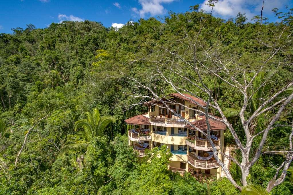 בלמופן Sleeping Giant Rainforest Lodge מראה חיצוני תמונה
