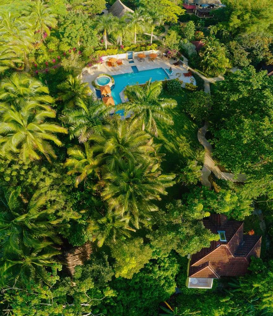 בלמופן Sleeping Giant Rainforest Lodge מראה חיצוני תמונה
