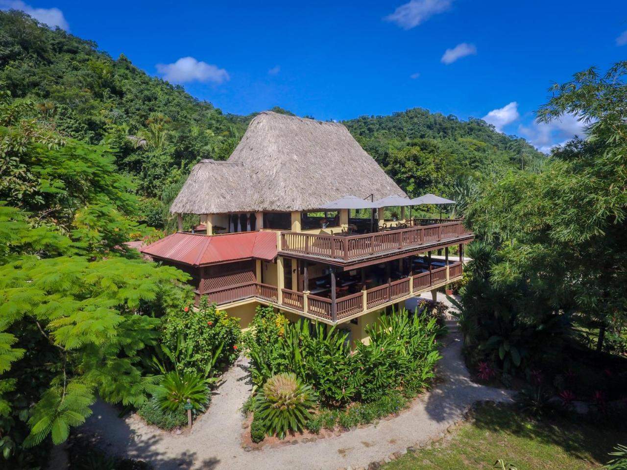 בלמופן Sleeping Giant Rainforest Lodge מראה חיצוני תמונה