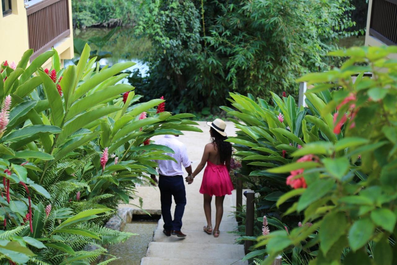 בלמופן Sleeping Giant Rainforest Lodge מראה חיצוני תמונה
