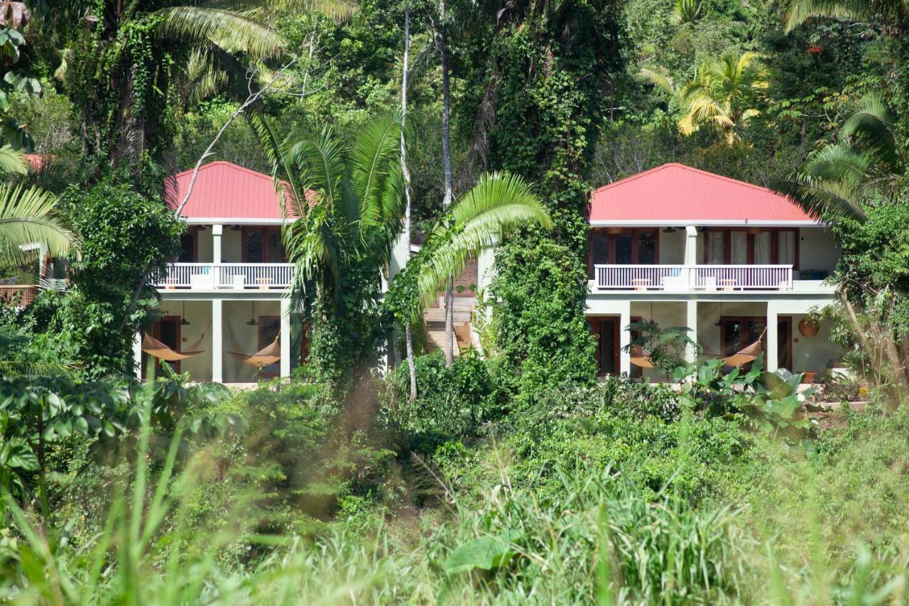 בלמופן Sleeping Giant Rainforest Lodge מראה חיצוני תמונה
