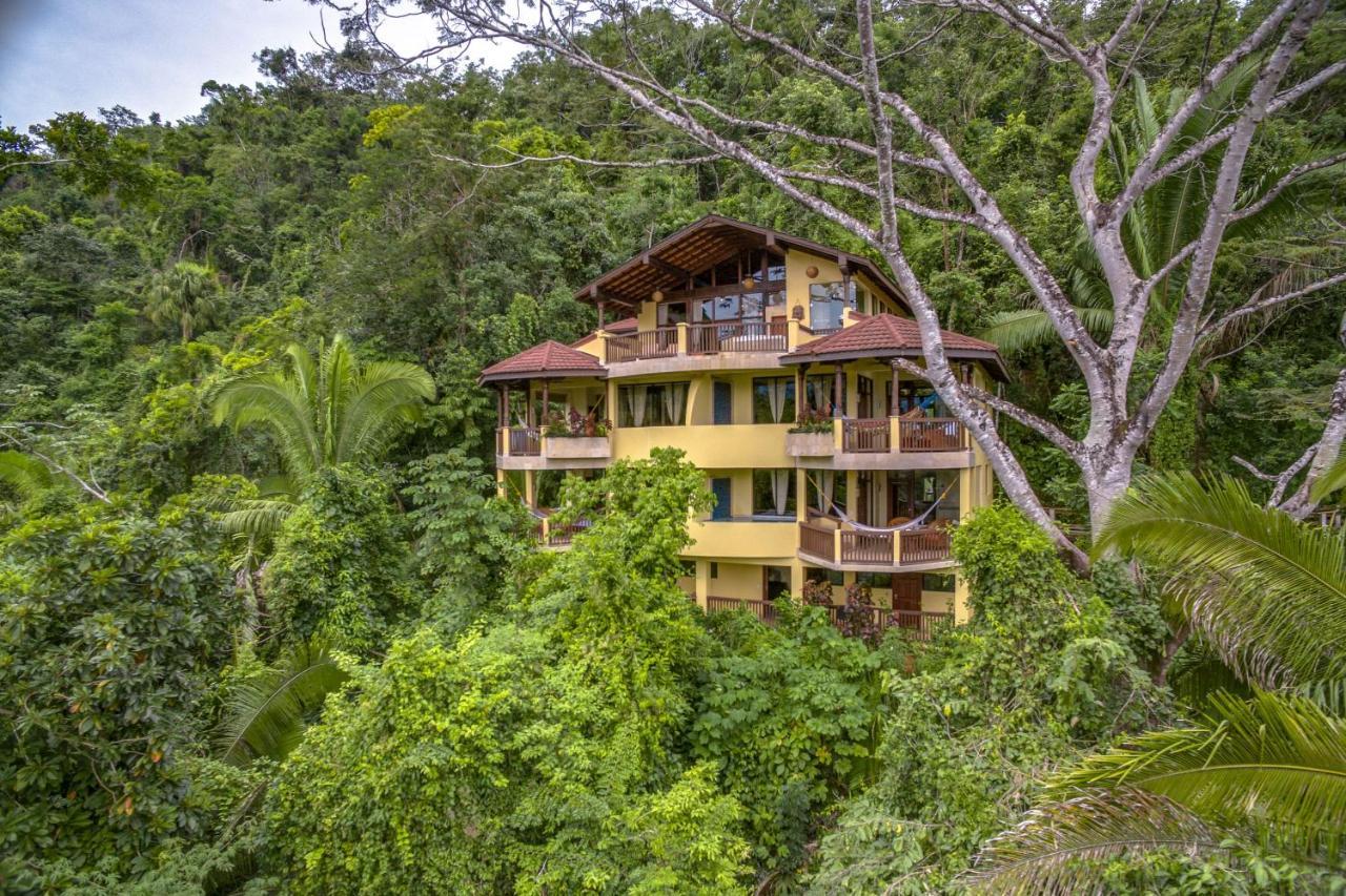 בלמופן Sleeping Giant Rainforest Lodge מראה חיצוני תמונה