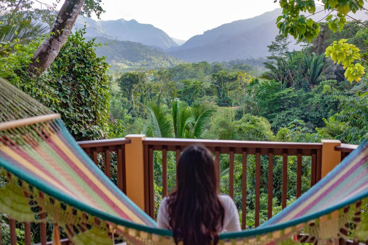 בלמופן Sleeping Giant Rainforest Lodge מראה חיצוני תמונה
